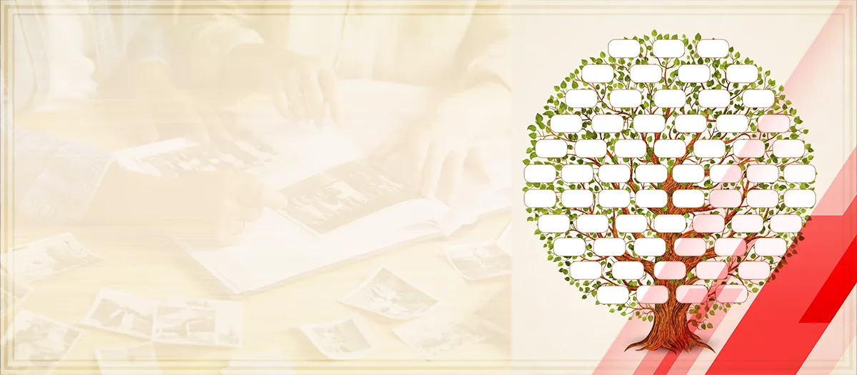 Genealogy Products and Services: Ranking the Best Companies of the Year